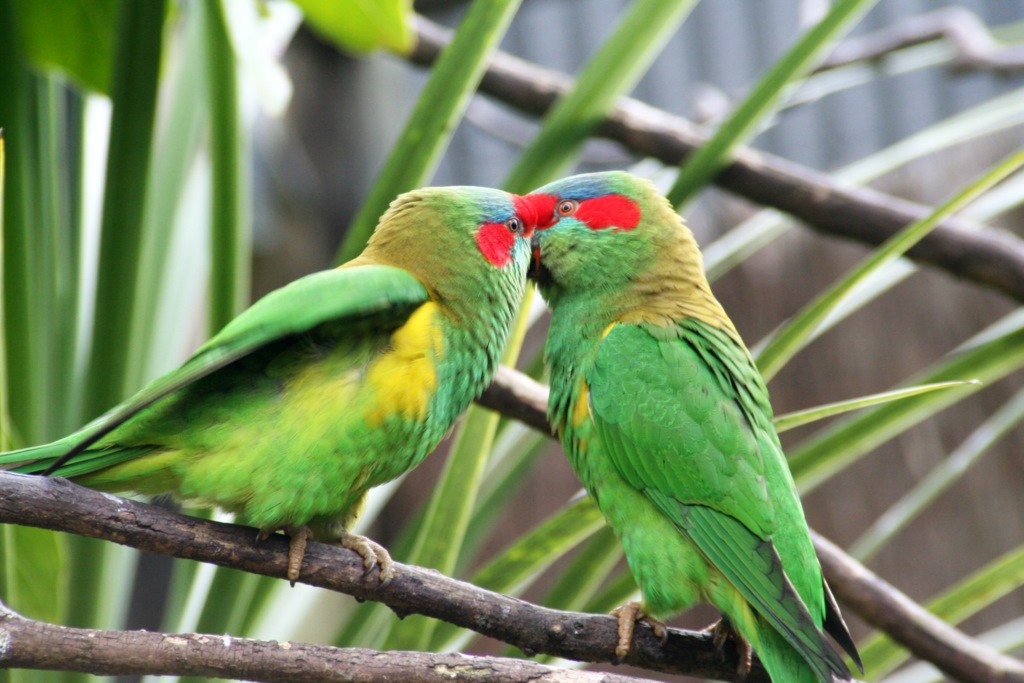 love sparks, couple in love